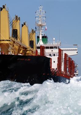 BV The Importance of Transportable Moisture Limit