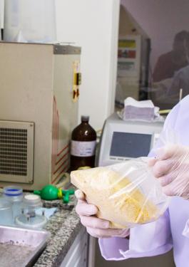 Aflatoxin Control Testing Services