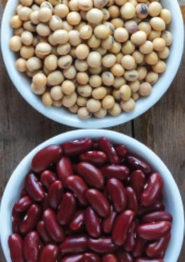  agri-cb-pulses