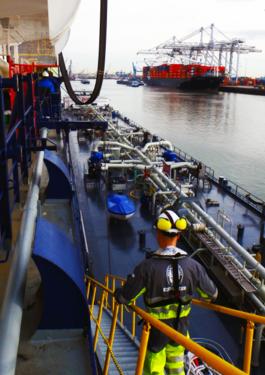 Cargo Inspection