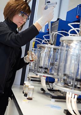 Fuel Analysis