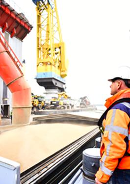 Loading & Discharge Supervision