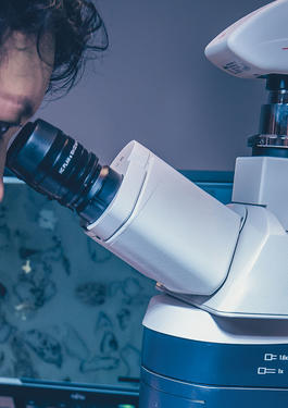 Microscope
