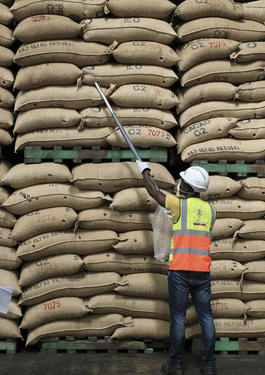 COCOA_WEBSITE_BANNER_IMAGE