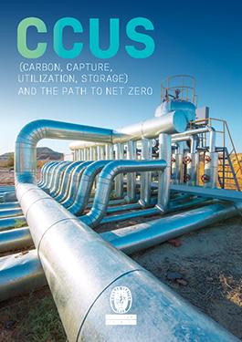 CCUS Whitepaper
