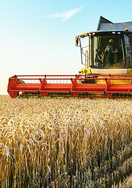 Traceability Solution Flyer